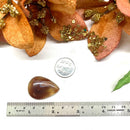 Red Botswana Agate Cabochon (Strength & Stability)