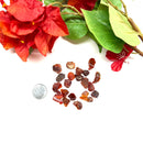 Red Fire Opal- Mexican (Passion and Sexuality)