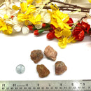 Red Sunstone Rough (Passion)