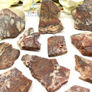 Red Crazy Lace Agate Slice (Happiness & Positivity)