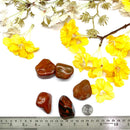 Red Jasper Rough
