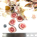 Rhodochrosite Round Slices (Love and Compassion)