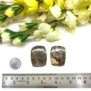 Mushroom Rhyolite / Rainforest Jasper Cabochon