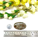 Mushroom Rhyolite / Rainforest Jasper Cabochon