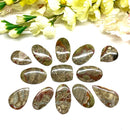 Mushroom Rhyolite / Rainforest Jasper Cabochon