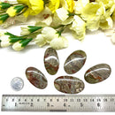 Mushroom Rhyolite / Rainforest Jasper Cabochon