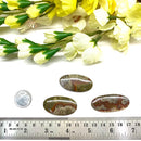 Mushroom Rhyolite / Rainforest Jasper Cabochon