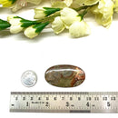 Mushroom Rhyolite / Rainforest Jasper Cabochon