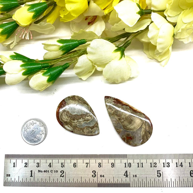 Mushroom Rhyolite / Rainforest Jasper Cabochon