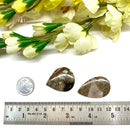 Mushroom Rhyolite / Rainforest Jasper Cabochon