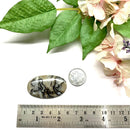 Rock Calci Jasper Cabochon