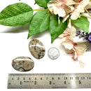 Rock Calci Jasper Cabochon