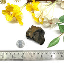 Rock Rabbit Opal Rough (Earth energy)