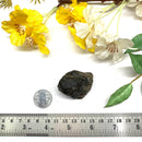 Rock Rabbit Opal Rough (Earth energy)