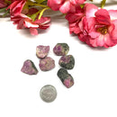 Ruby Rough (Life force energy)