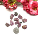 Ruby Rough (Life force energy)