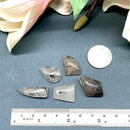 Black Rutilated Quartz Cabochon