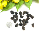 Saffordite - Chintamani (Manifestation and Life Purpose)