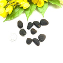 Saffordite - Chintamani (Manifestation and Life Purpose)