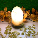 Natural Salt Lamps