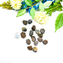 Blue Sapphire Rough (Discipline & Healing)