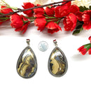 Schalenblende Pendants in Silver (Manifestation & Decision Making)