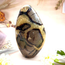 Septarian Free Forms (Change and Transition)