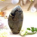 Septarian Free Forms (Change and Transition)