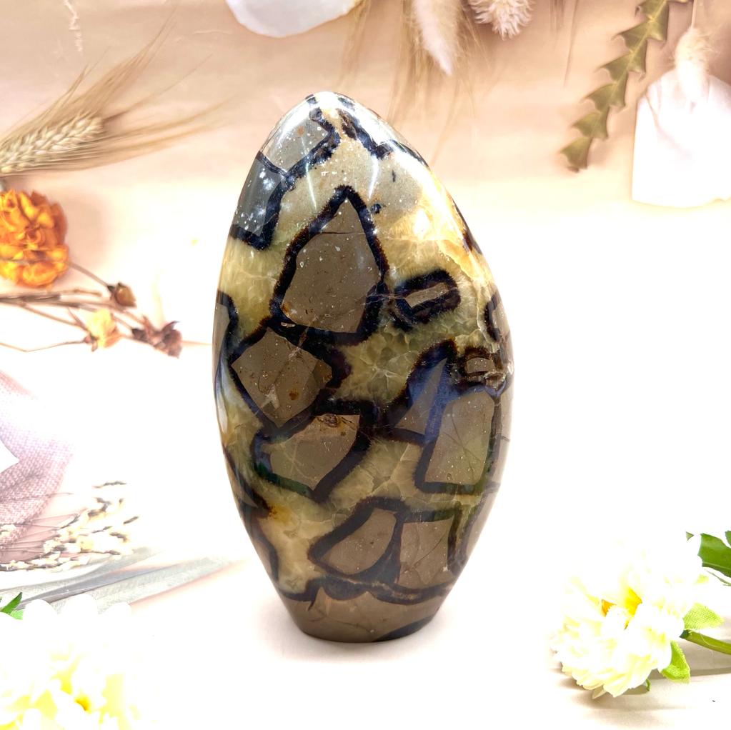Septarian Form Buy Crystals Online Septarian Polished Free Form Healing Crytals
