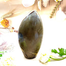 Septarian Free Forms (Change and Transition)