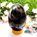 Large Septarian Eggs with Black Calcite (Manage Change)