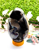 Large Septarian Eggs with Black Calcite (Manage Change)