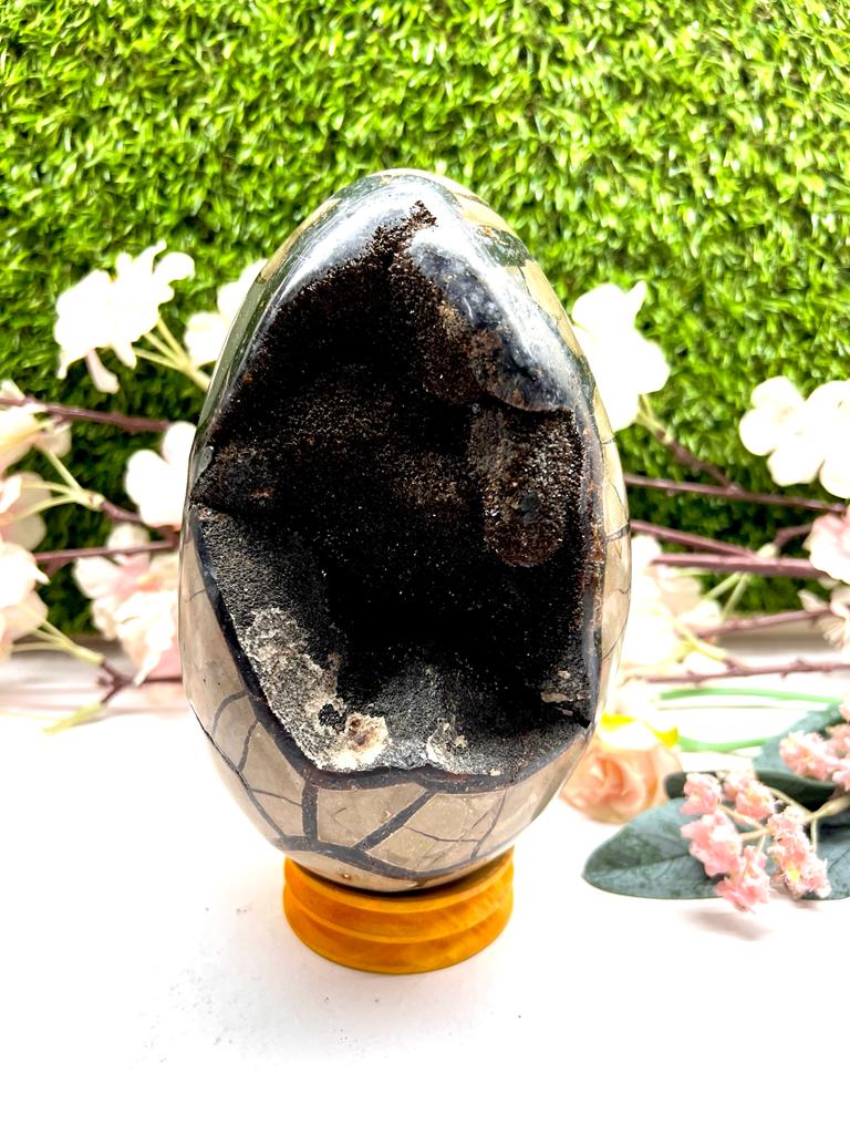 Large Septarian Eggs with Black Calcite (Manage Change)