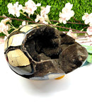 Large Septarian Eggs with Black Calcite (Manage Change)