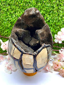 Large Septarian Eggs with Black Calcite (Manage Change)