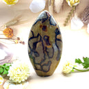 Septarian Free Forms (Change and Transition)