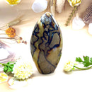 Septarian Free Forms (Change and Transition)