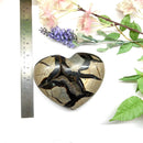 Large Septarian Hearts with Black Calcite Druzy (Grounded Communication)