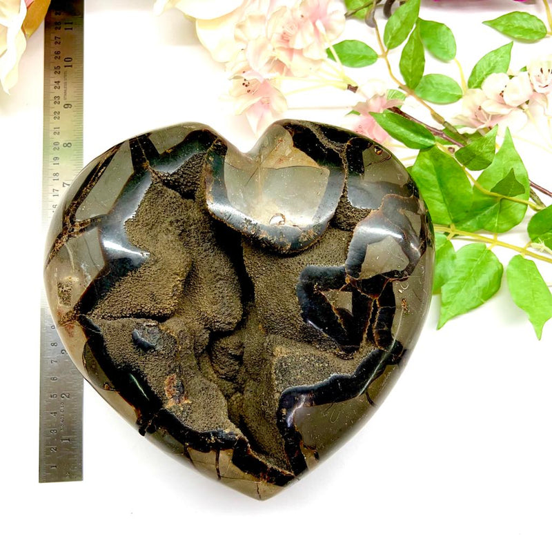 Large Septarian Hearts with Black Calcite Druzy (Grounded Communication)