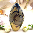 Septarian Free Forms (Change and Transition)