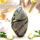 Septarian Free Forms (Change and Transition)