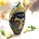 Septarian Free Forms (Change and Transition)