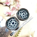 Septarian Nodules Rough (Emotional Flexibility)