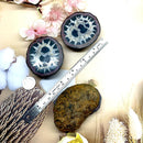 Septarian Nodules Rough (Emotional Flexibility)