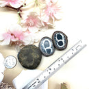 Septarian Nodules Rough (Emotional Flexibility)