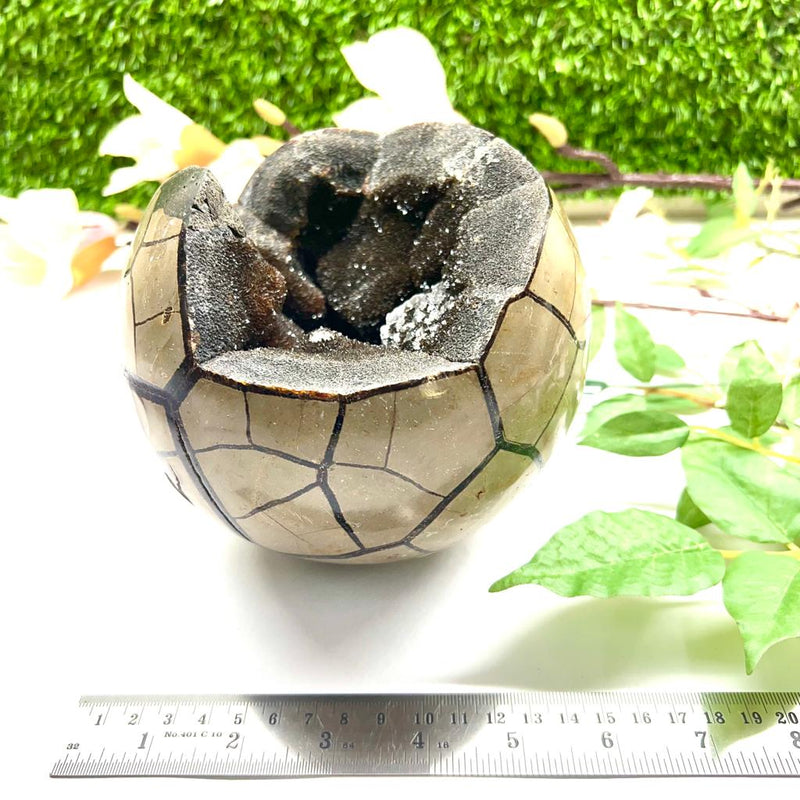 Septarian Druzy Sphere with Black Calcite (Deal with Change)