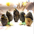 Septarian Free Forms (Change and Transition)