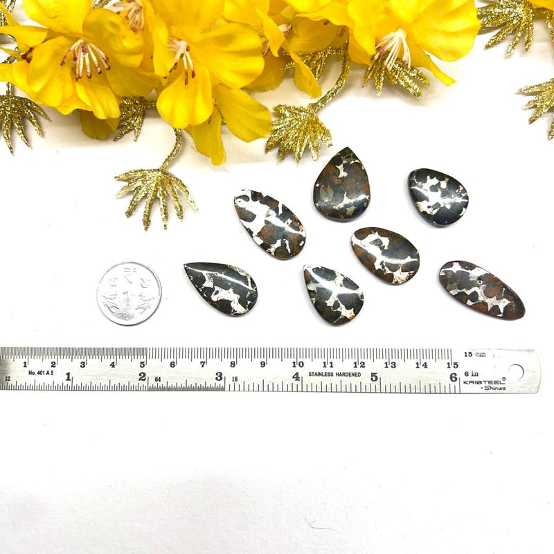 Sericho Pallasite Meteorite Cabochons