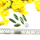 Serpentine Cabochon AAA (Gem Quality)(Spiritual Growth)