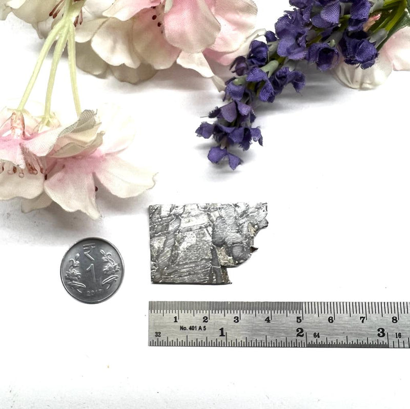 Seymchan Meteorite from Russia